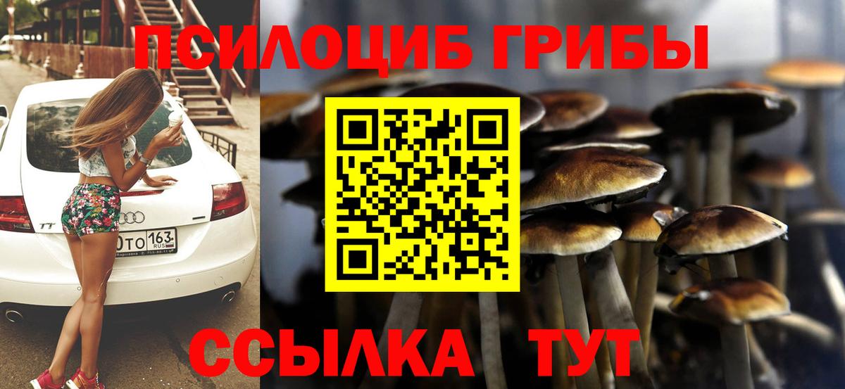 Рыбинск  Галлюциногенные грибы MAGIC MUSHROOMS  где найти   Вход с VPN 