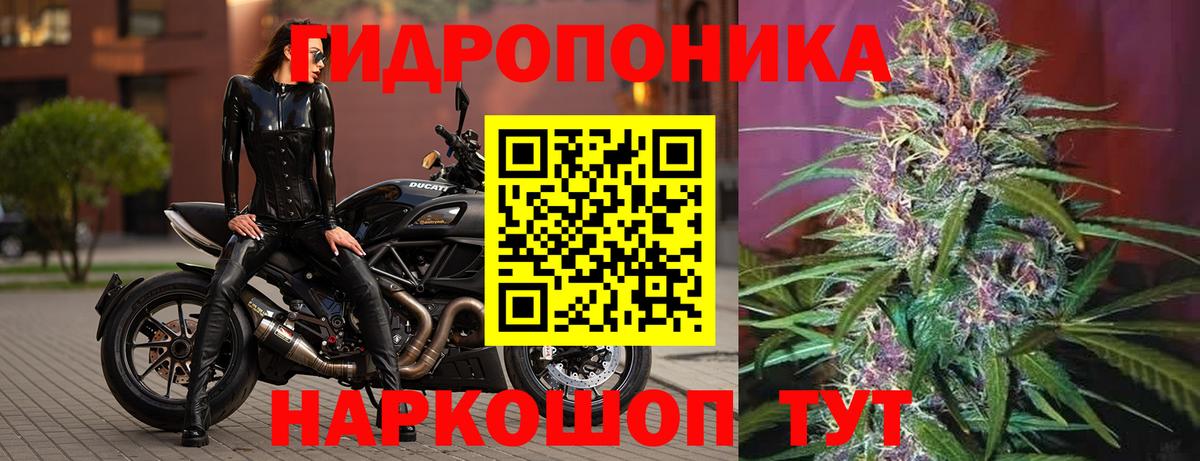 Бошки Шишки Bruce Banner Рыбинск